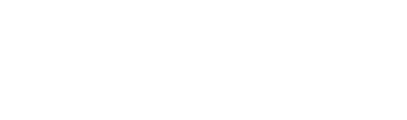 HeiQ VivoTech logo
