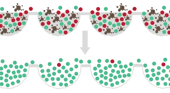HeiQ Synbio cleaning MOA