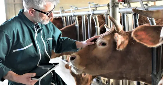 HeiQ VivoTech probiotic animal care